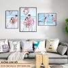 Bộ 3 Khung Ảnh Tráng Gương Cao Cấp